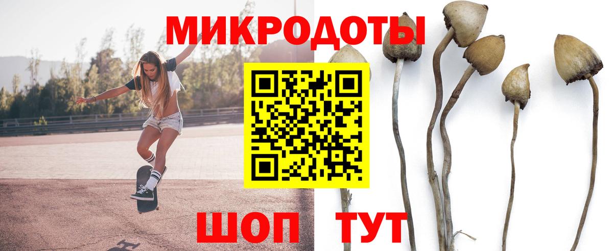 где продают   Галлюциногенные грибы прущие грибы  Балабаново  Вход с VPN  Галлюциногенные грибы мухоморы 